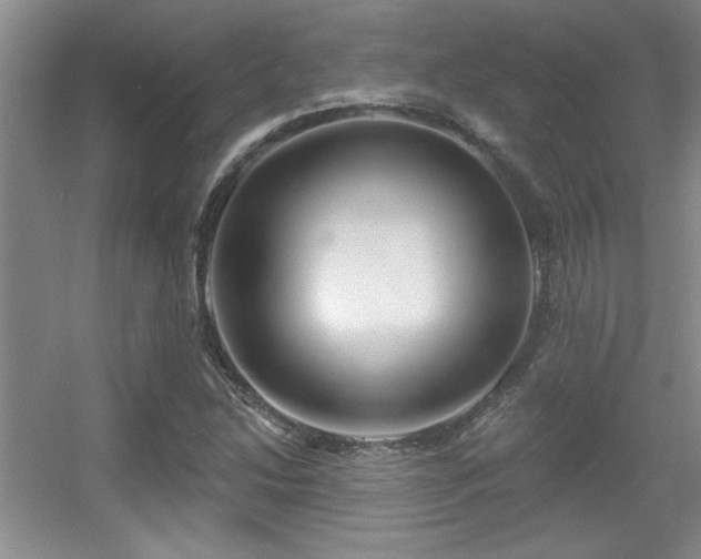 X0000056011214200508221445