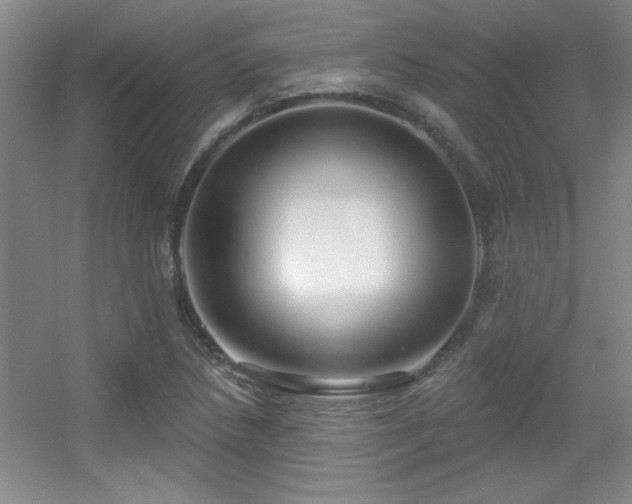 X0000056011218200508221446