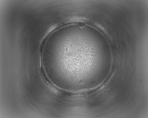 X0000056011219200508221446