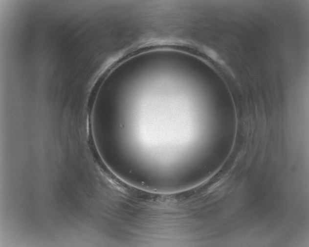 X0000056011221200508221446