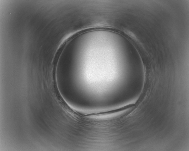 X0000056011222200508221446