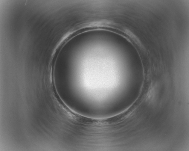 X0000056011224200508221446