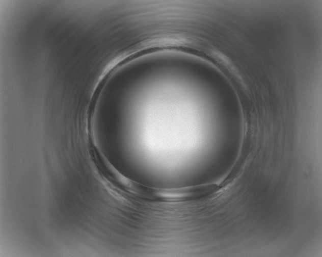 X0000056011226200508221446