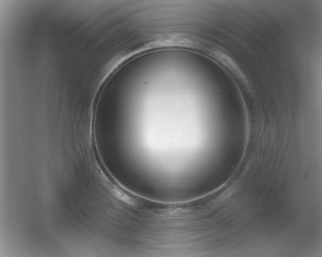 X0000056011228200508221446