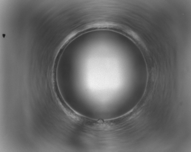 X0000056011229200508221446
