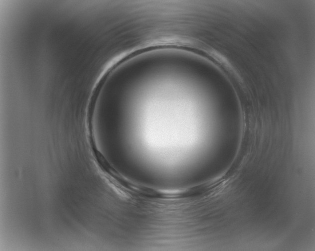 X0000056011230200508221446