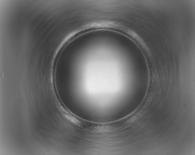 X0000056011232200508221446