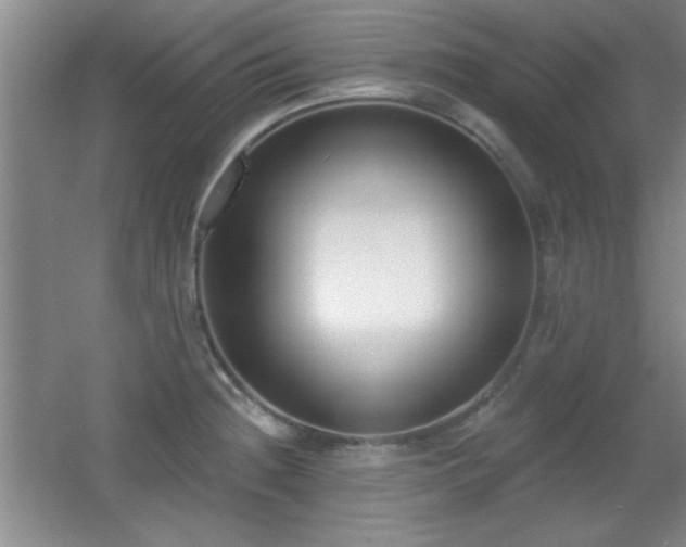 X0000056011236200508221446