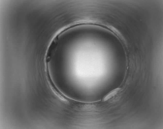 X0000056011238200508221446