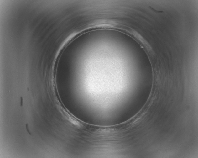 X0000056011240200508221446