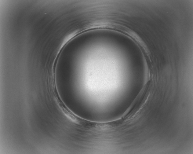 X0000056011242200508221446