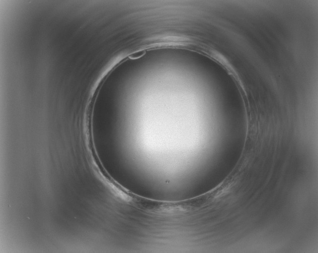 X0000056011243200508221446