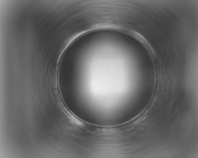 X0000056011244200508221446