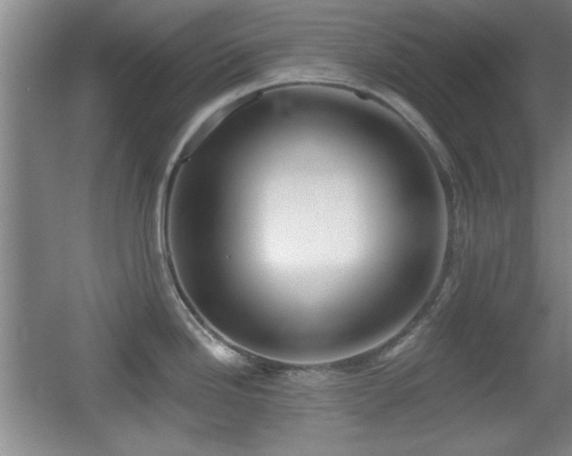 X0000056011246200508221446