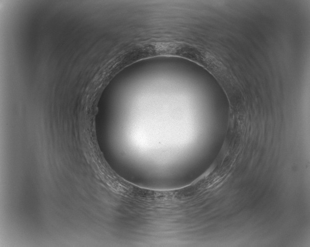 X0000056011249200508221445