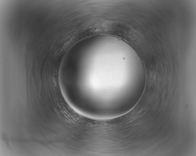 X0000056011250200508221445