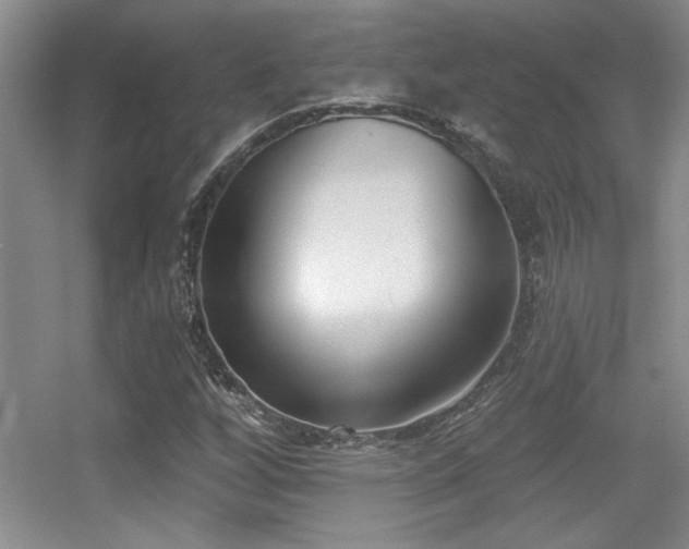X0000056011256200508221445