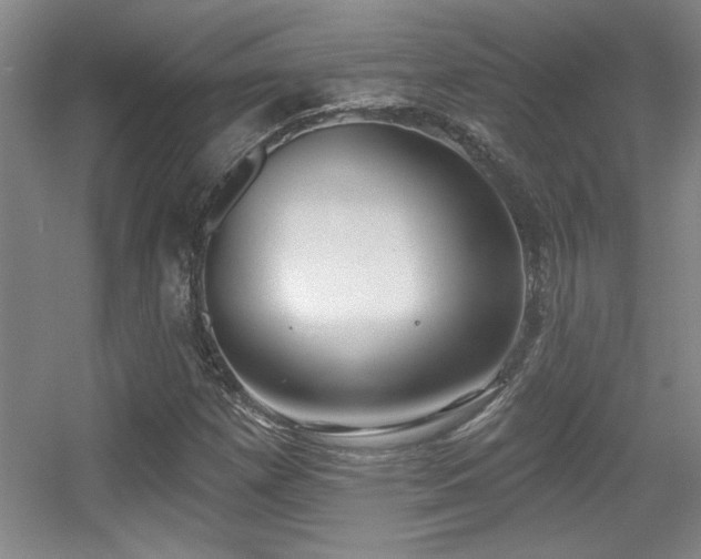 X0000056011257200508221445