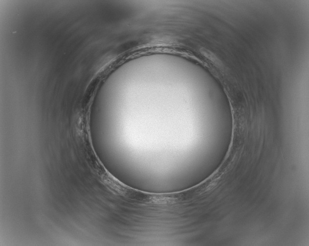 X0000056011258200508221445