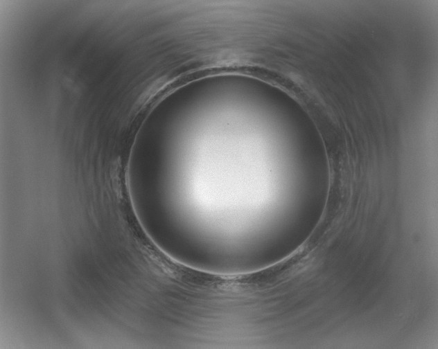 X0000056011265200508221445