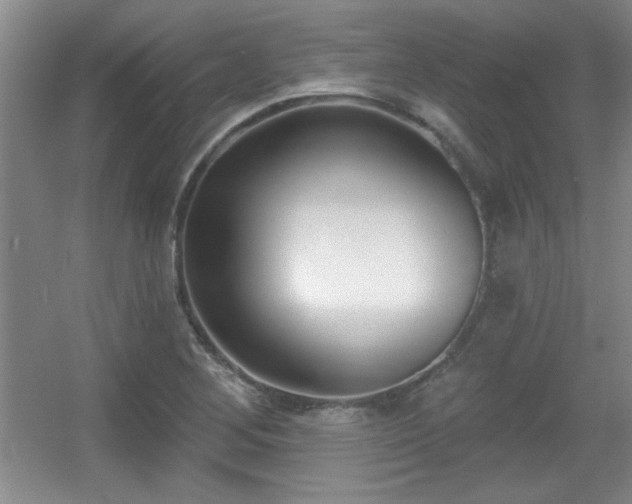 X0000056011268200508221445
