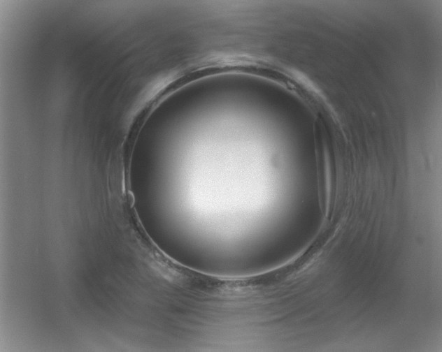 X0000056011269200508221445