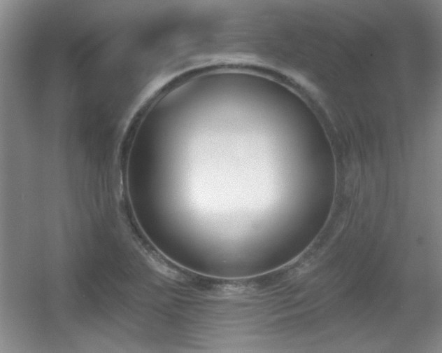 X0000056011271200508221445