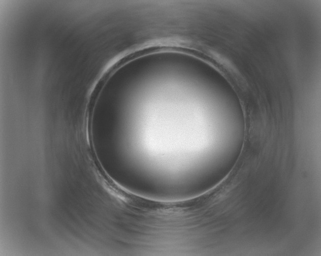 X0000056011272200508221445