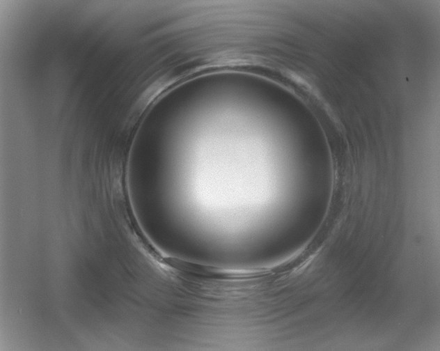 X0000056011273200508221445