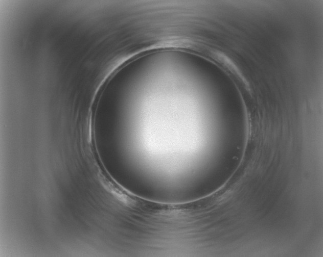 X0000056011276200508221445