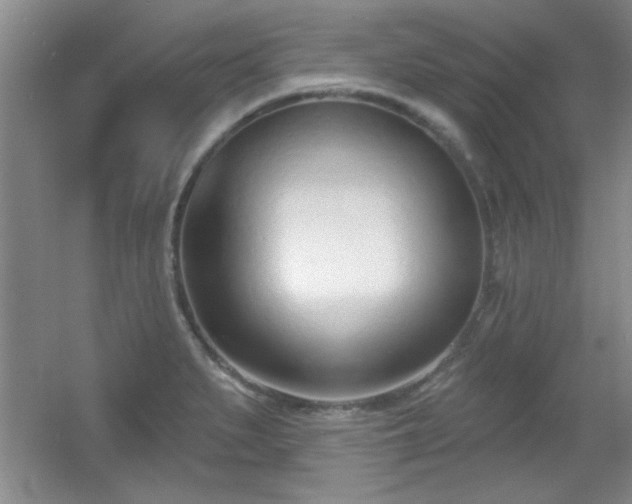 X0000056011279200508221445