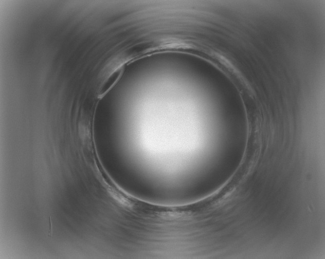 X0000056011281200508221445
