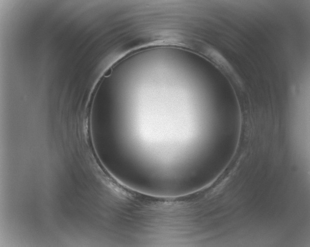 X0000056011284200508221445