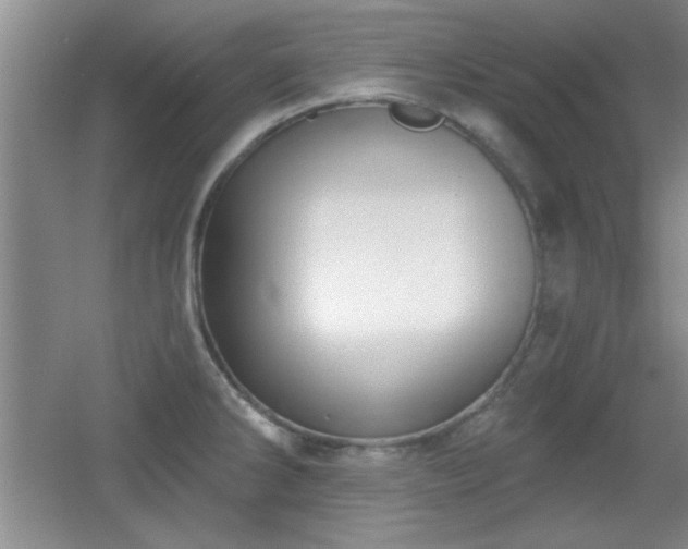 X0000056011286200508221445