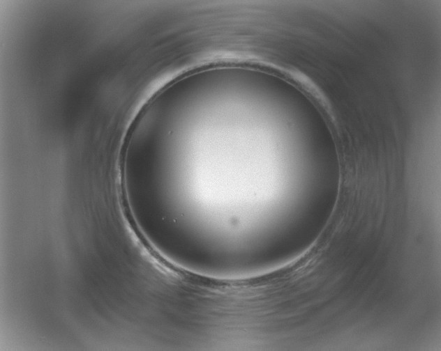 X0000056011287200508221445