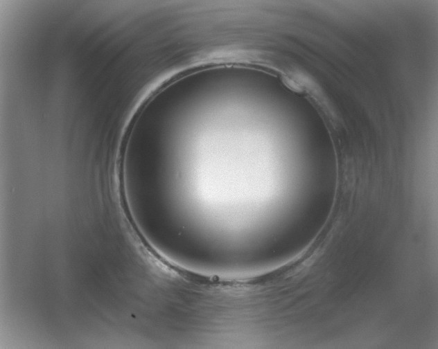 X0000056011288200508221445