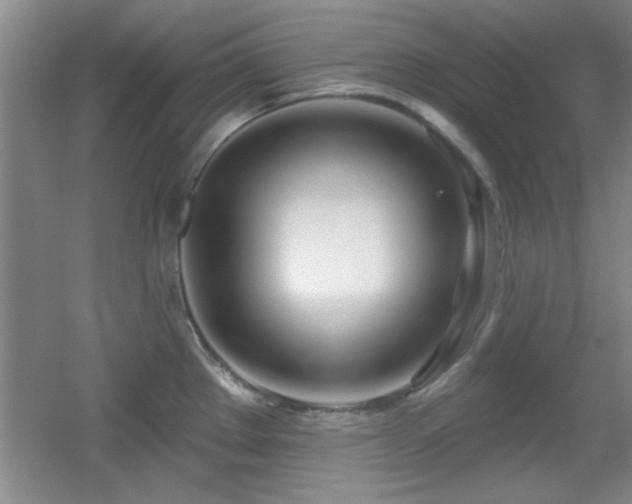X0000056011289200508221445