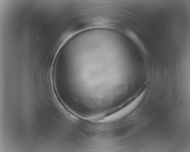 X0000056011291200508221445