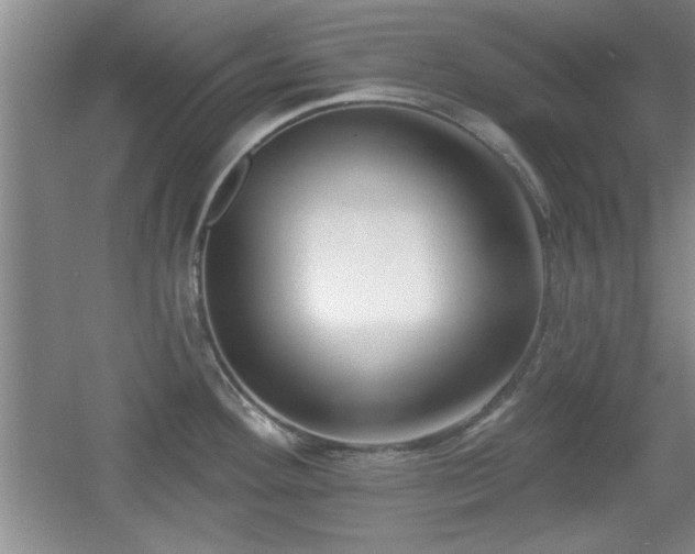 X0000056011292200508221445