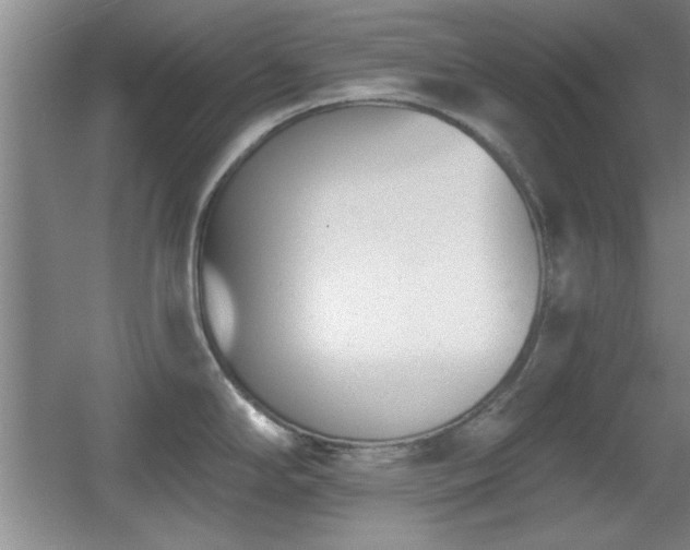 X0000056011294200508221444