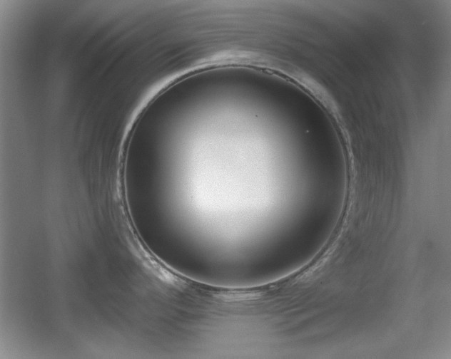 X0000056011296200508221444