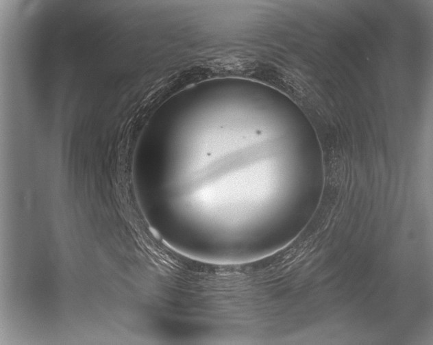 X0000056011297200508221444