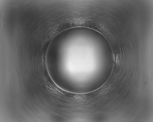 X0000056011299200508221444