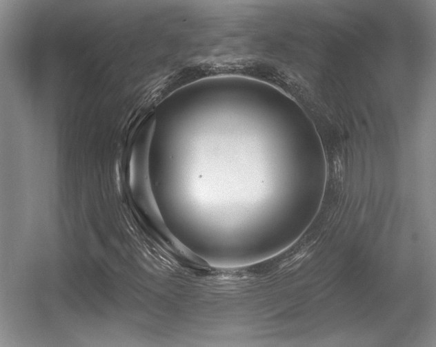 X0000056011300200508221444