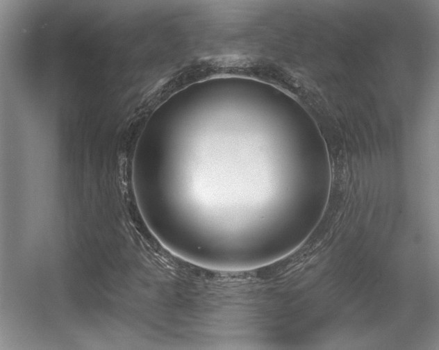 X0000056011301200508221444