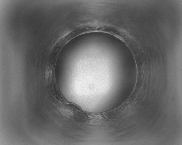 X0000056011302200508221444
