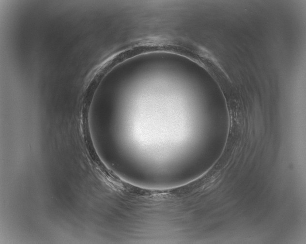 X0000056011304200508221444