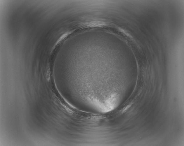 X0000056011306200508221444