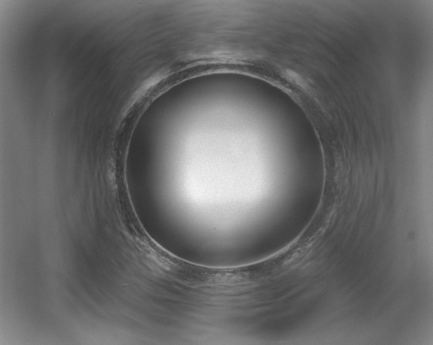 X0000056011307200508221444