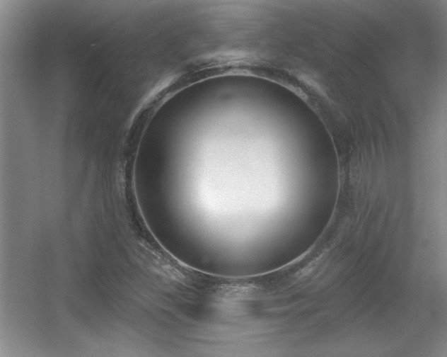 X0000056011309200508221444